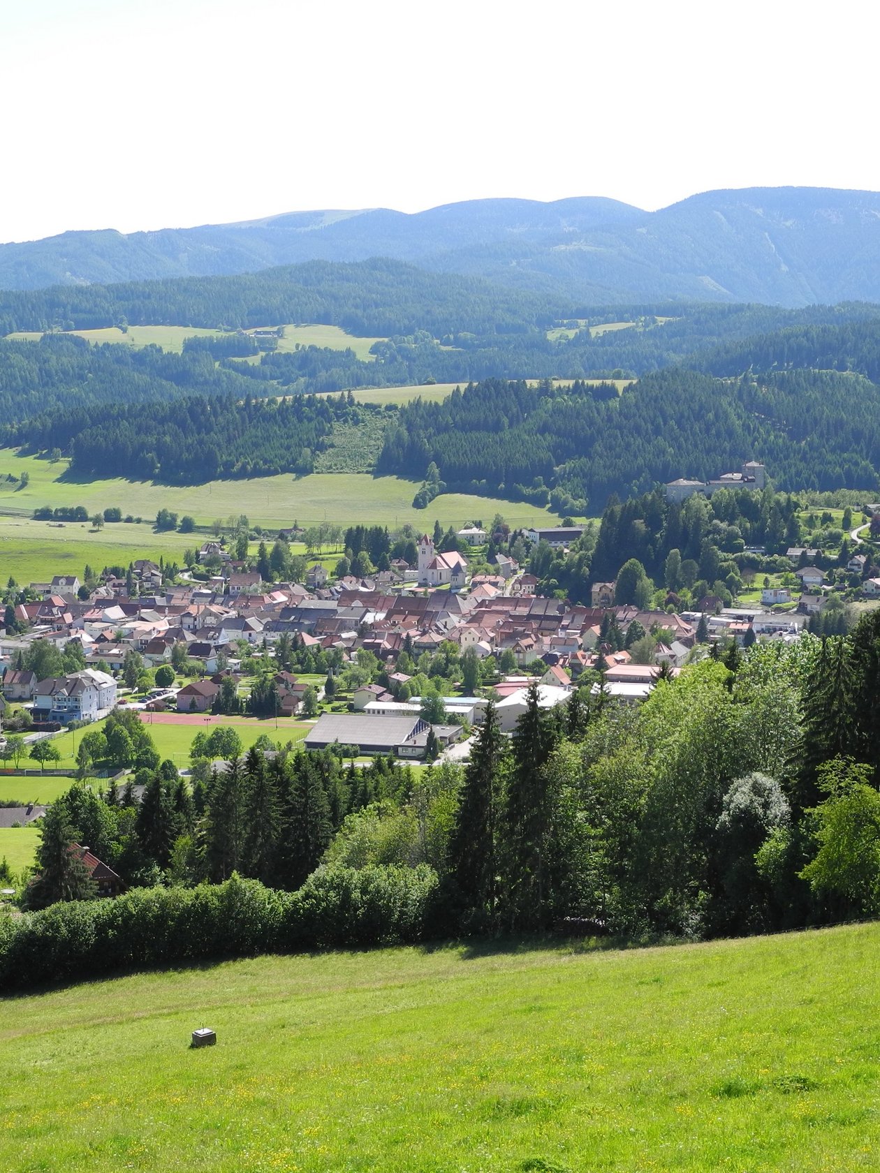 Panoramablick über das idyllische Dorf Landschaft mit einem Dorf, umgeben von Bergen und grüner Natur im Hintergrund, in der Steiermark.