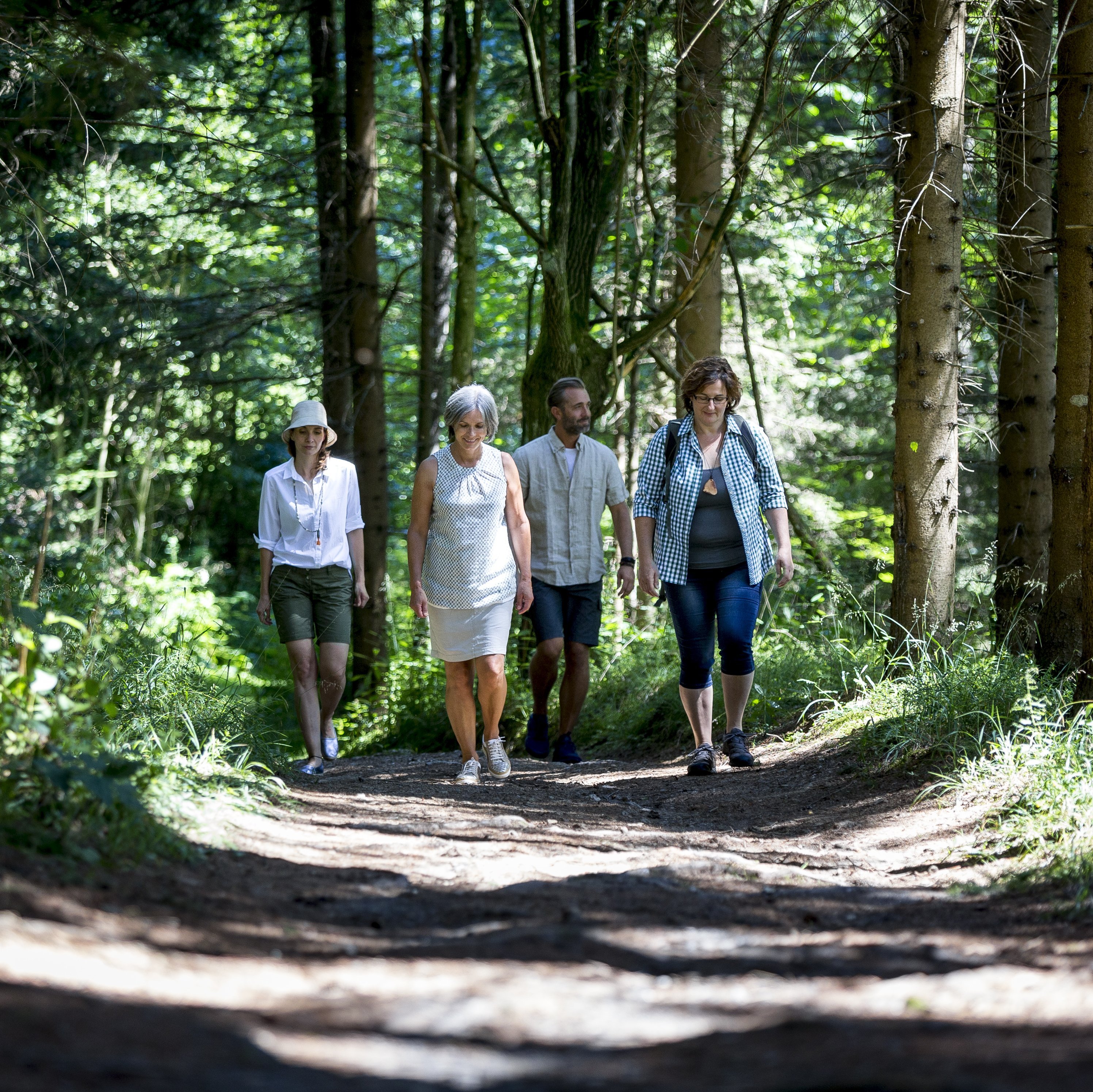 Wanderung durch den Wald Vier Personen gehen auf einem Waldweg umgeben von Bäumen und Grünflächen in der Natur.