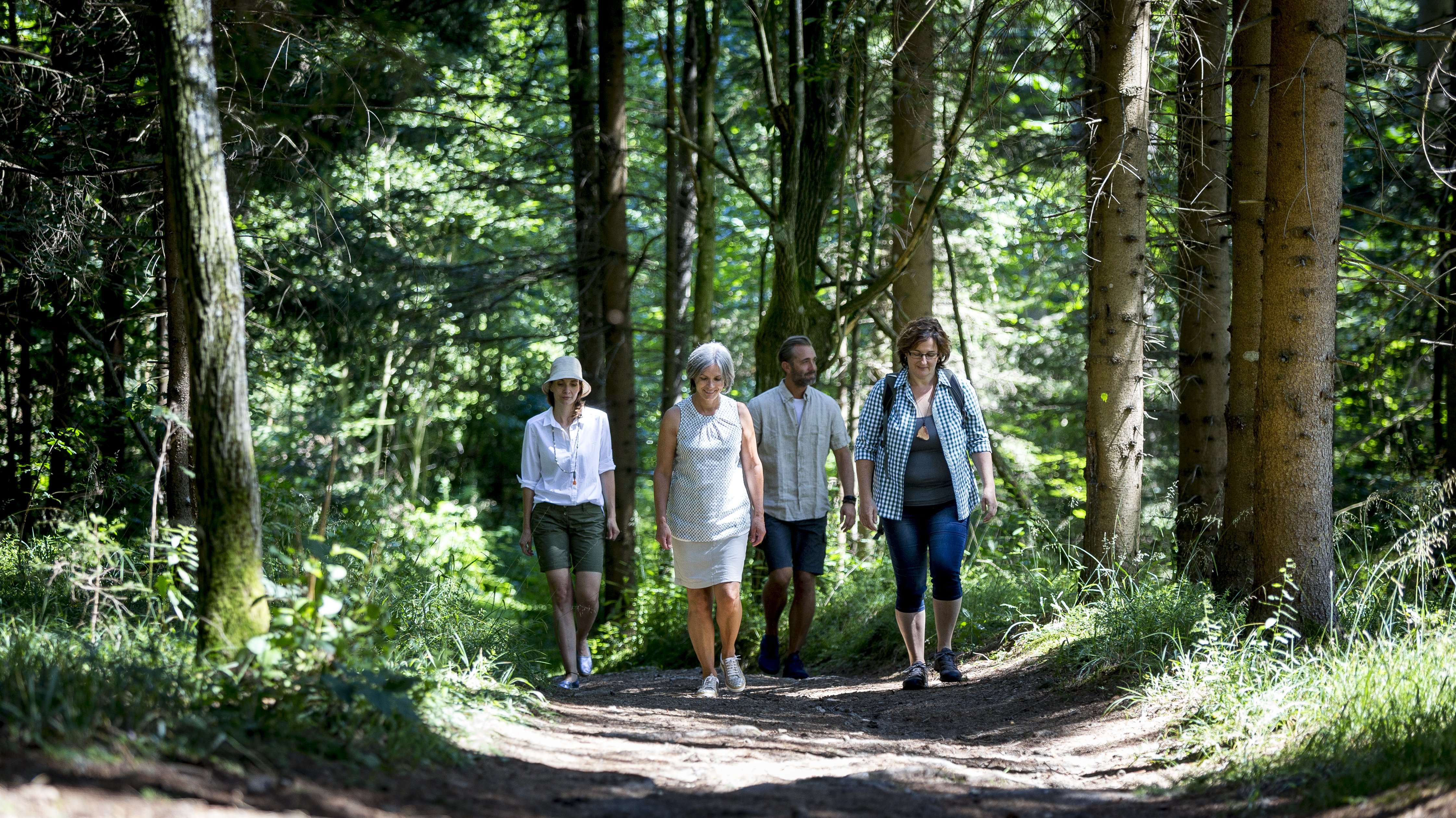 Wanderung durch den Wald Vier Personen gehen auf einem Waldweg umgeben von Bäumen und Grünflächen in der Natur.