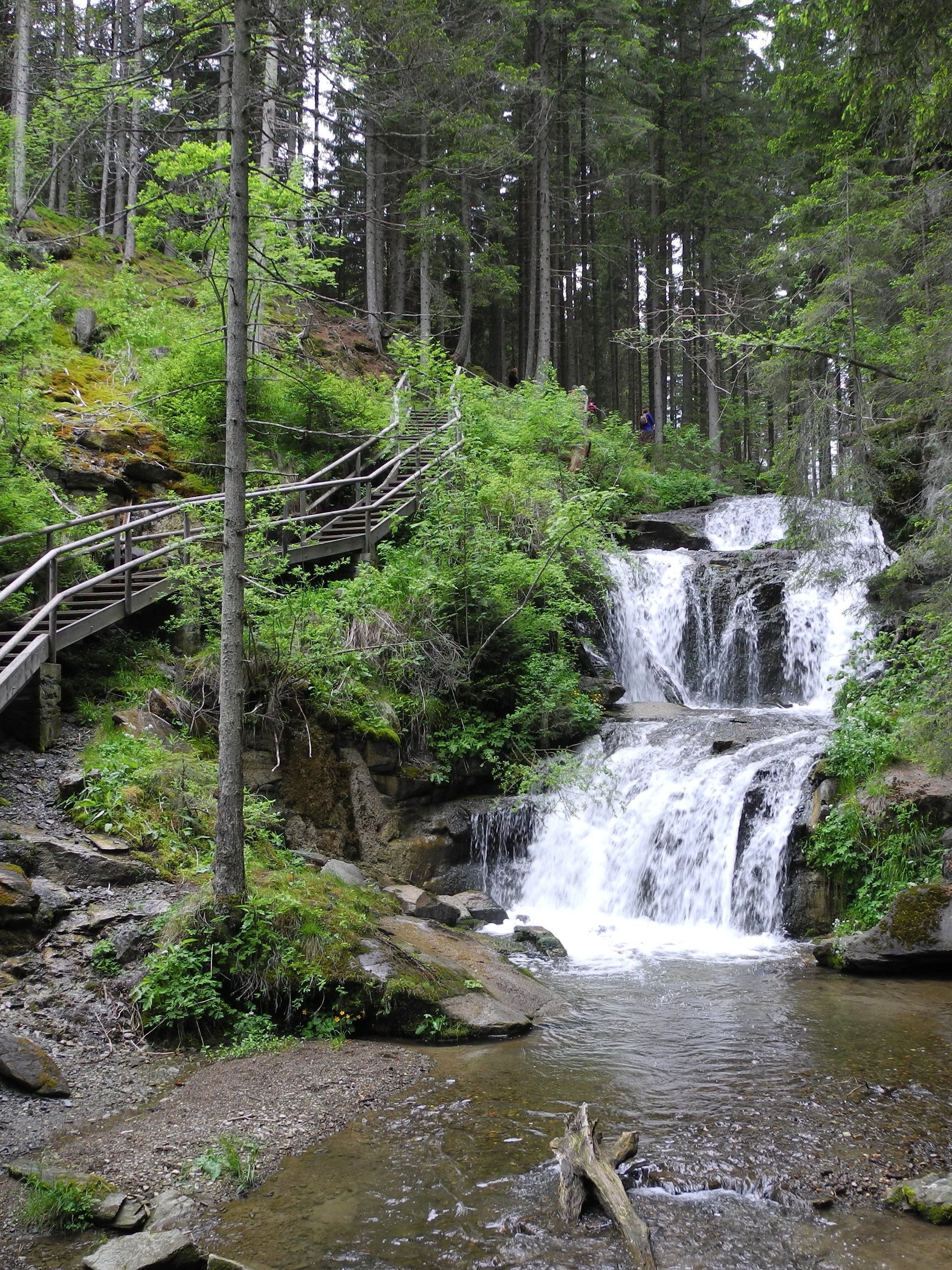 Wasserfall im Wald Klarer Wasserfall fließt über Felsen in eine umgebende grüne Waldlandschaft mit Holzweg.