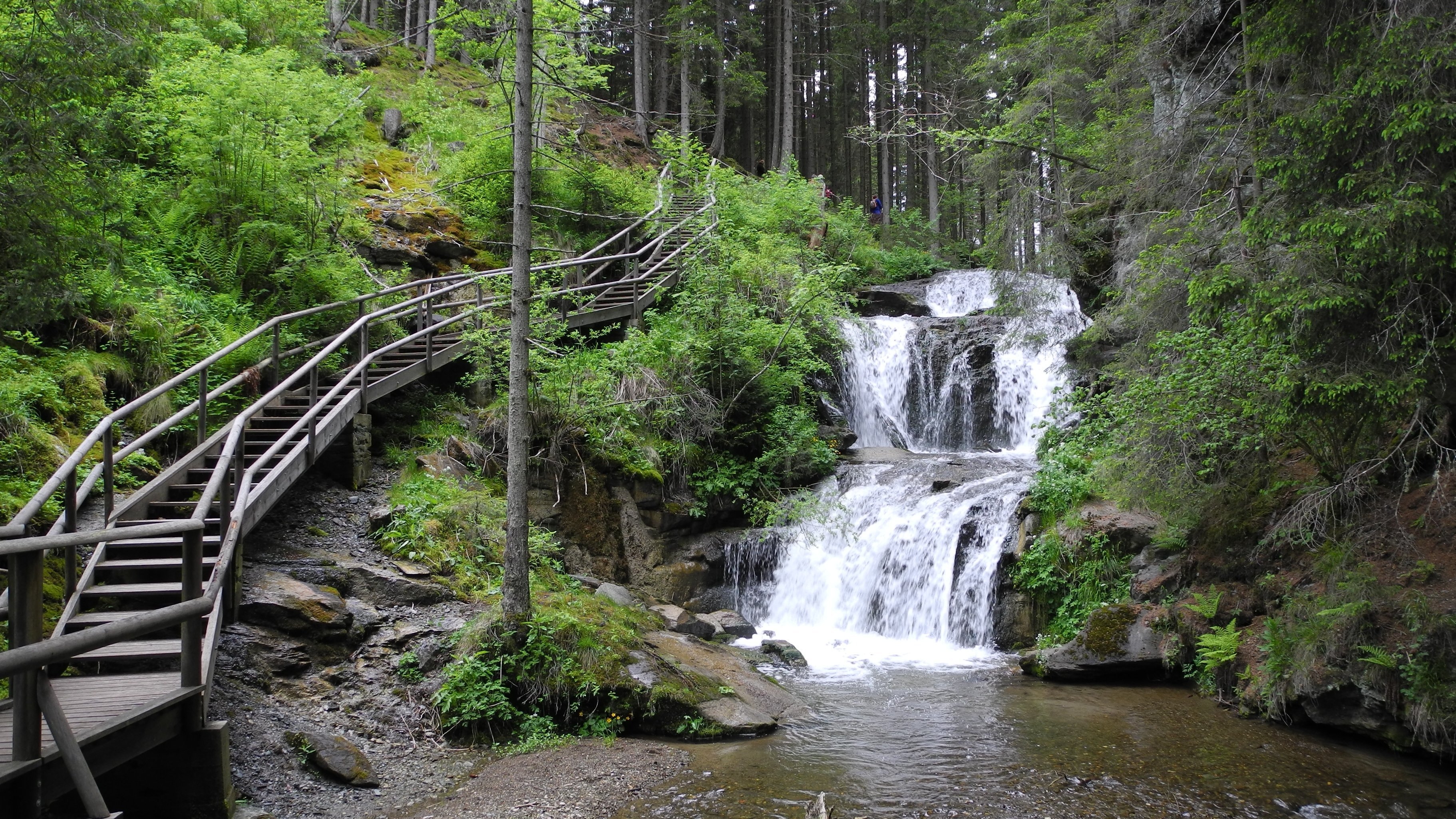 Wasserfall im Wald Klarer Wasserfall fließt über Felsen in eine umgebende grüne Waldlandschaft mit Holzweg.
