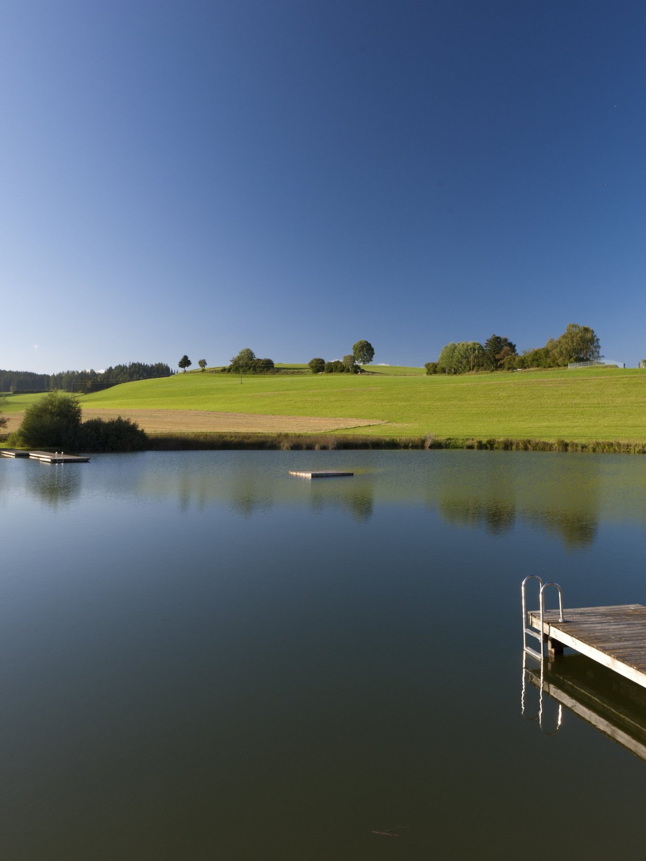 Ruhiger See mit Holzsteg Ein ruhiger See umgeben von grünen Feldern und Bäumen mit einem Holzsteg ins Wasser